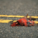Illustration for article titled Thankfully, Simmons Picked The Cardinals